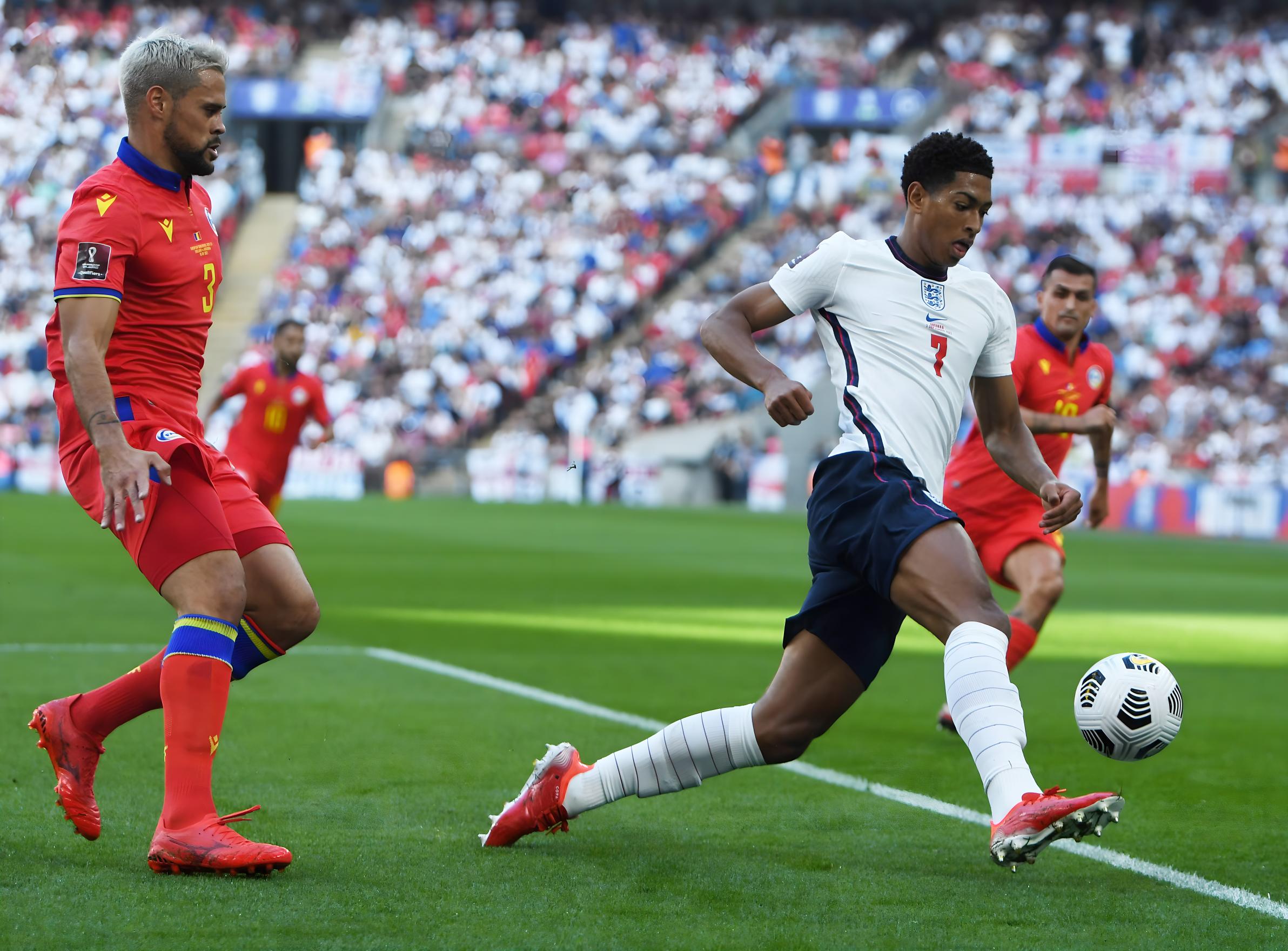 会费中卫如 会费中卫如